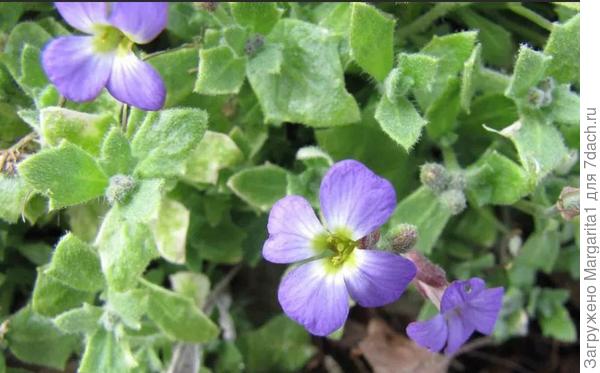 Фото из интернета