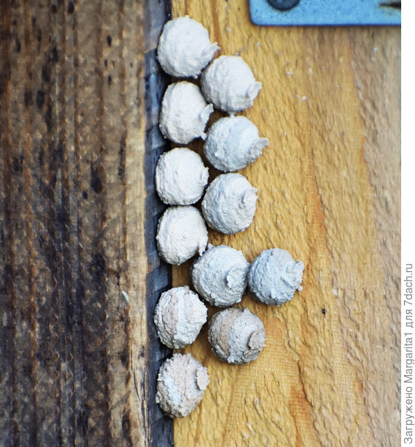 На косяке  двери