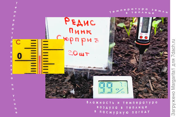 влажность и температура
