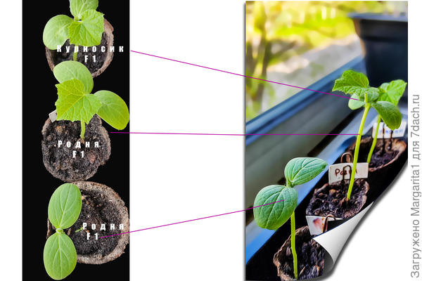 первый лист