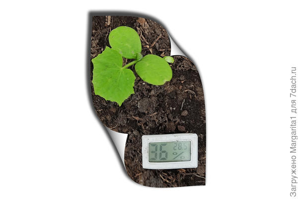 температура 20.05