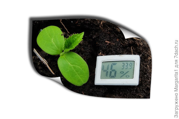 температура и влажность в день посадки