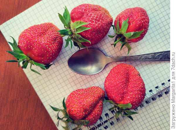 Маловата ложка ...