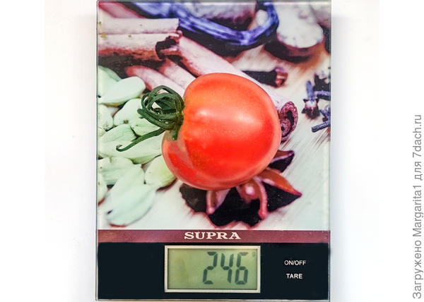 масса