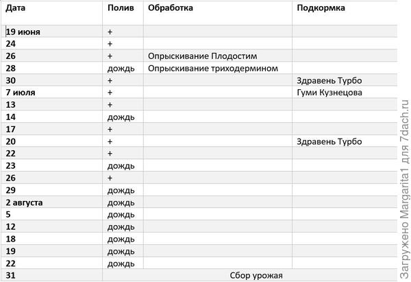 агротехника тыквы