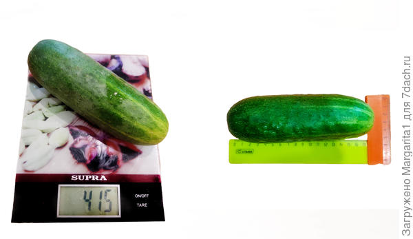 самый большой