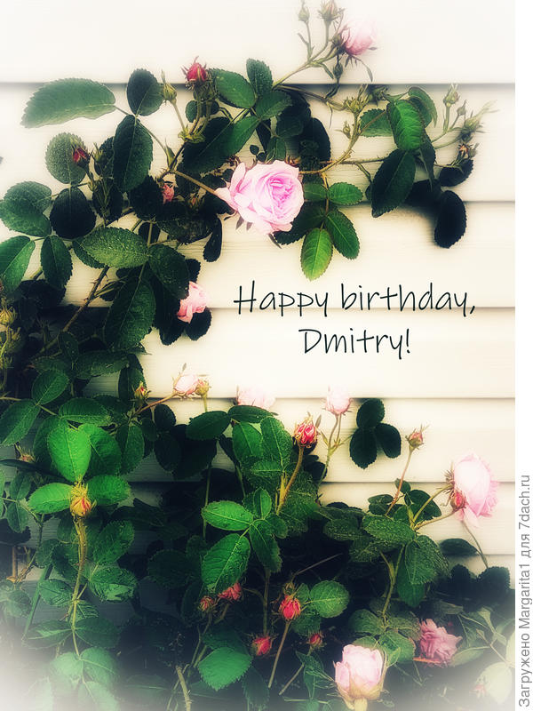 С днем рождения, Дмитрий!