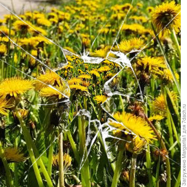 скоро на всех обочинах