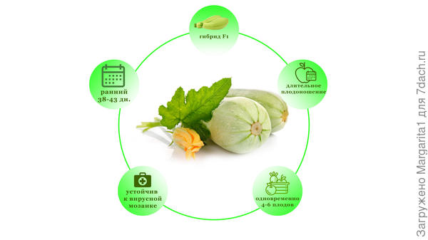 характеристики