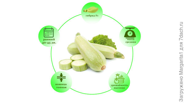 характеристика