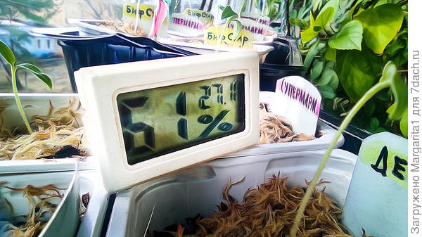 температура