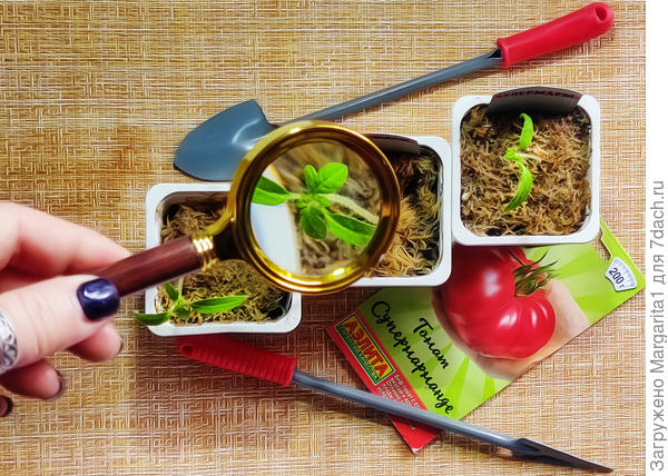 Супермармандер .Первый лист