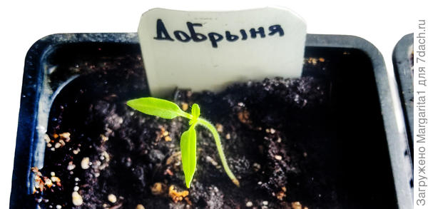 Первый лист