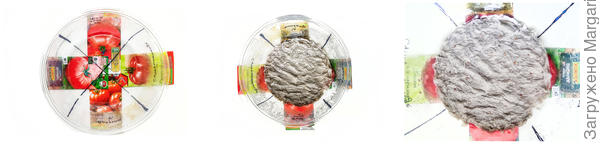 посев в бумагу