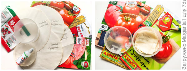 замачивание