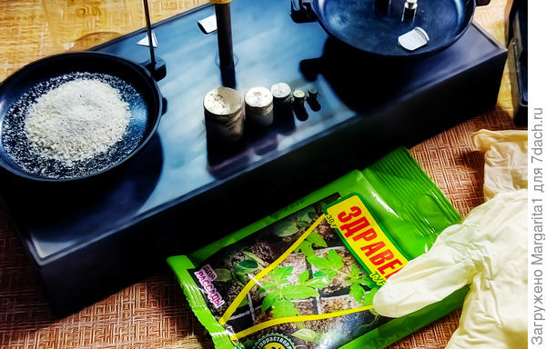 здравень для рассады