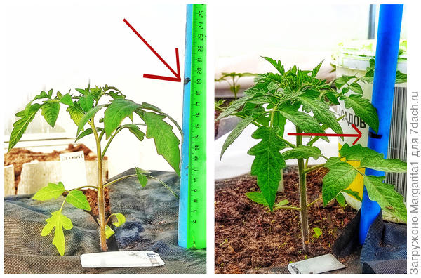 27 апреля и 7 мая