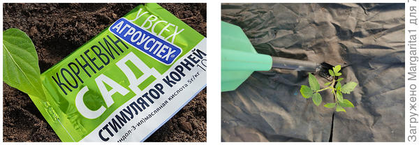 Пролив Корневином