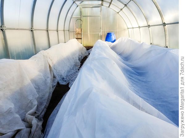 Рассада готова к ночевке