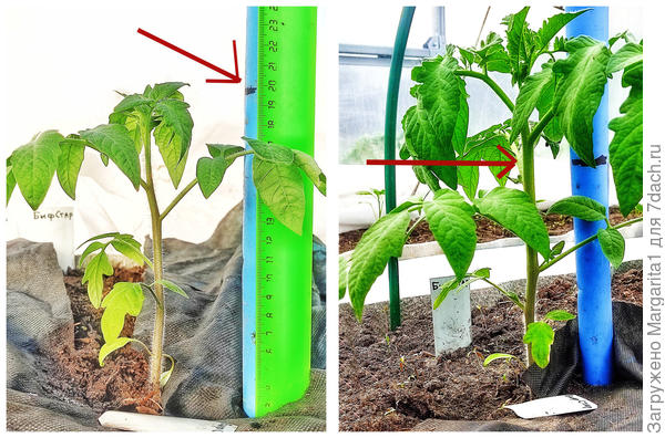 27 апреля и 7 мая