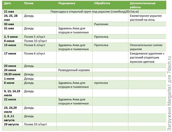 сводная таблица