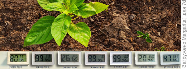 Изменение температуры в теплице