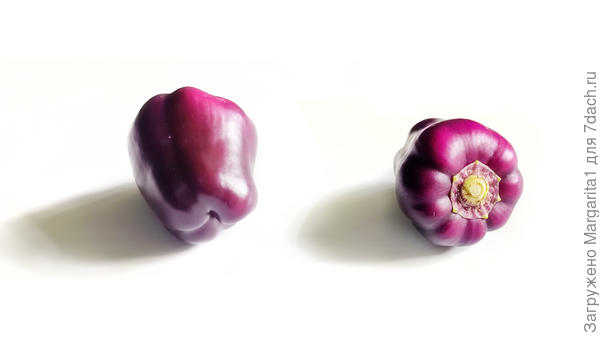 Перец Большая семья