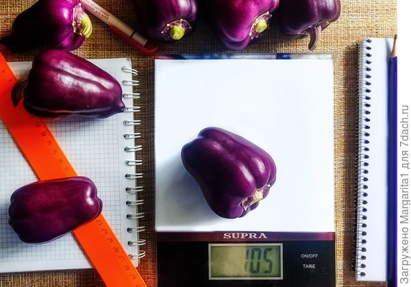 Перец Большая семья