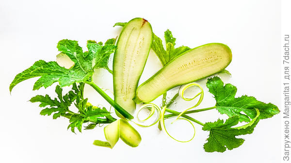 кабачок Ураган F1