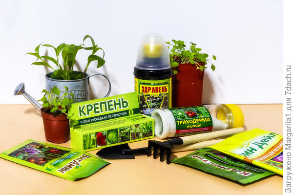 Для рассады