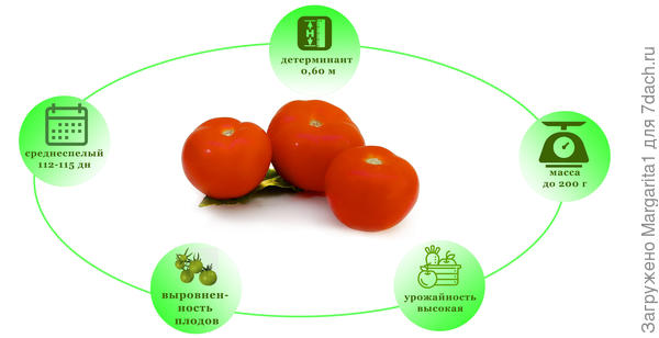 характеристики