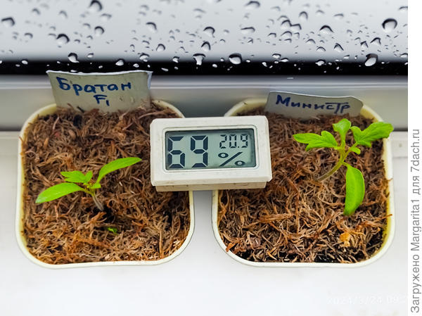 температура в пасмурный трагический днь