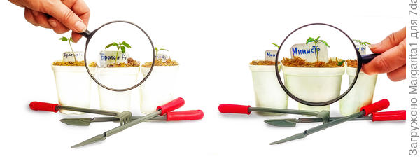 настоящий лист