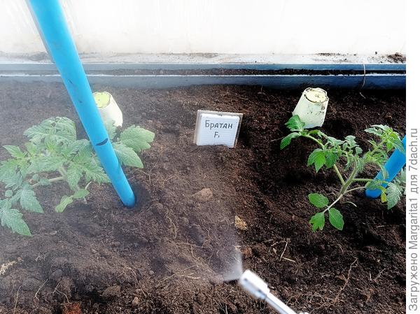 некорневая