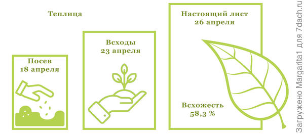итоги