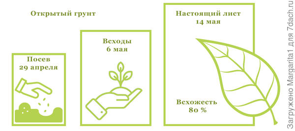 О/Г