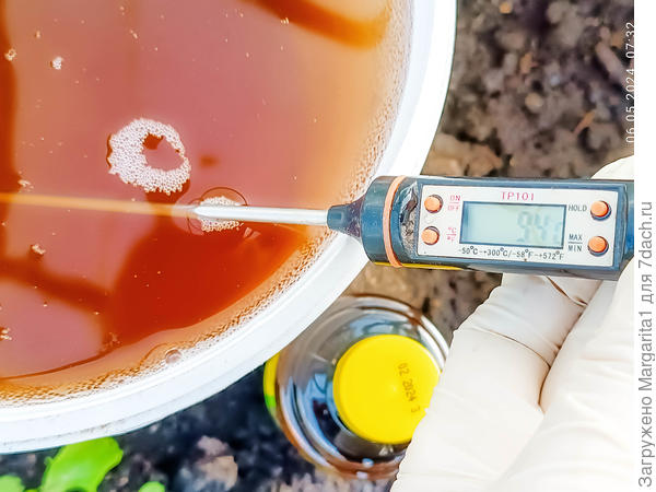 температура раствора