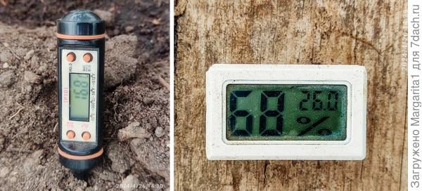 температура