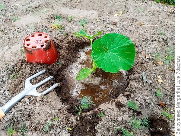 посадка закончена