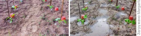 маленька Венеция