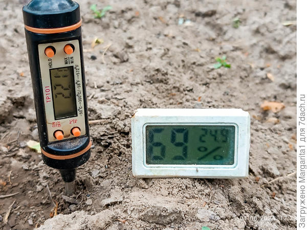 температура и влажность