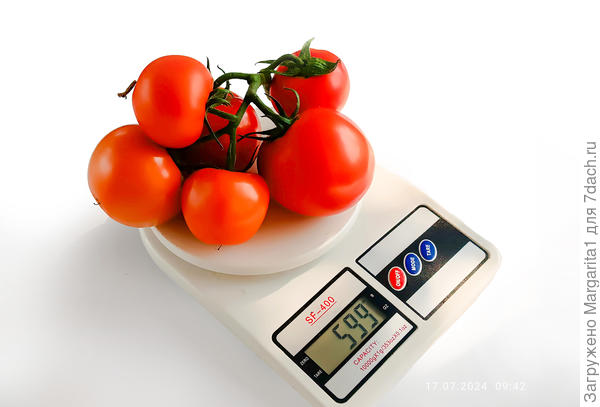 масса кисти