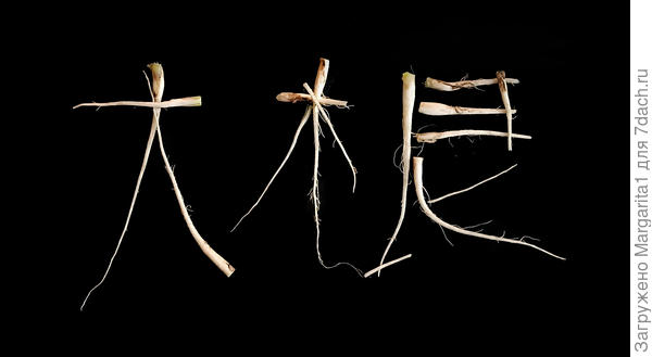 Перевод с японского нужен?