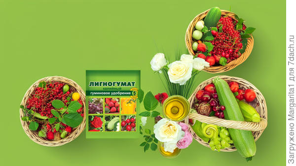 Лигногумат