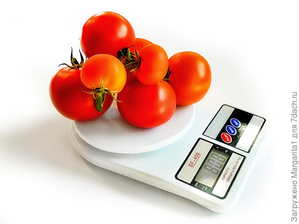 масса кисти