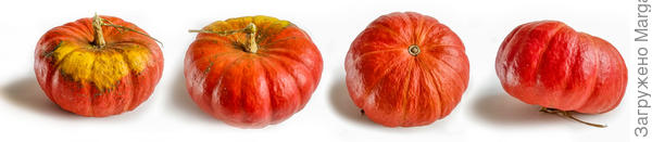 Тыква Пабло 5 кг