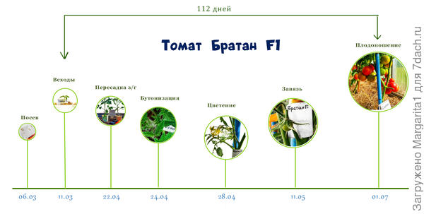 хронология