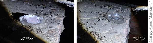 На второй день зерновая приманка исчезла из подпола без следа.