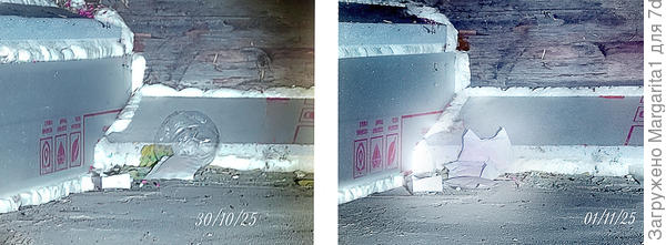 Две ночи мыши прятали свои запасы в дальнем углу подпола