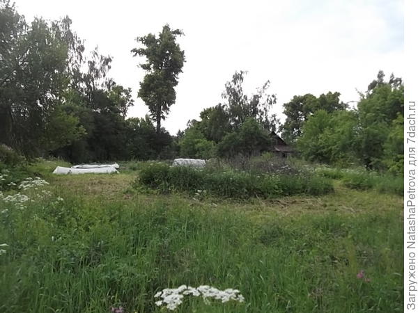 Вид на дом (в правом верхнем углу) примерно с трети участка